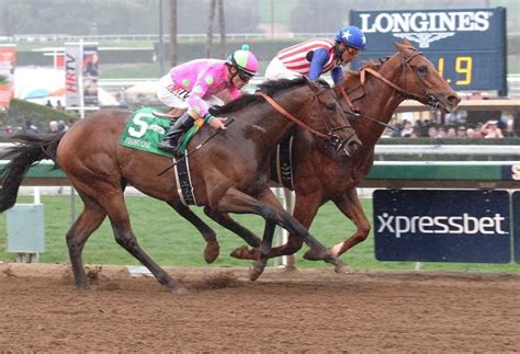 drf.com results|SirePowered Results .